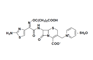 Ceftazidime Pentahydrate