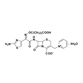 Ceftazidime Pentahydrate